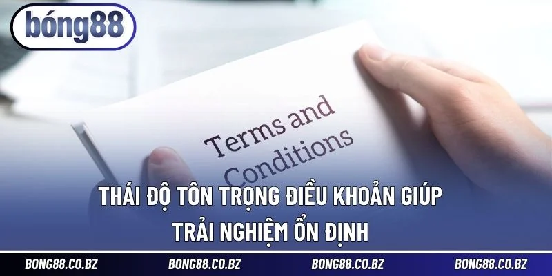 Thái độ tôn trọng điều khoản giúp trải nghiệm ổn định